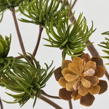 あおい松 MAGIQ(東京堂)