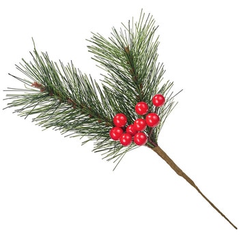 赤実小松ピック MAGIQ(東京堂)