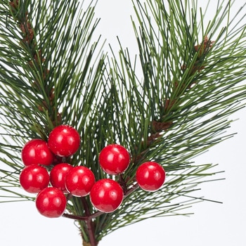 赤実小松ピック MAGIQ(東京堂)