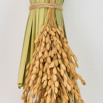 南信州本わらスワッグ 東京堂