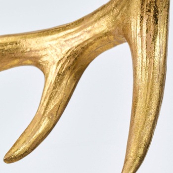 ゴールドホーン - 東京堂