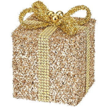 グロッシーボックスS 東京堂