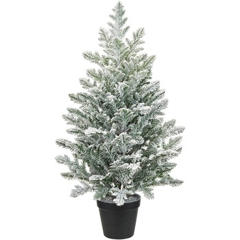 スノーグリーンツリー MAGIQ(東京堂)