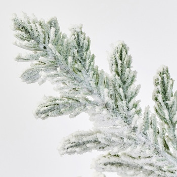 スノーグリーンツリー MAGIQ(東京堂)