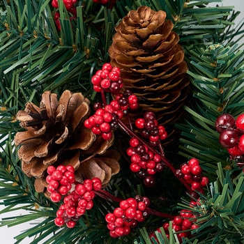 レッドベリーコーンリース MAGIQ(東京堂)