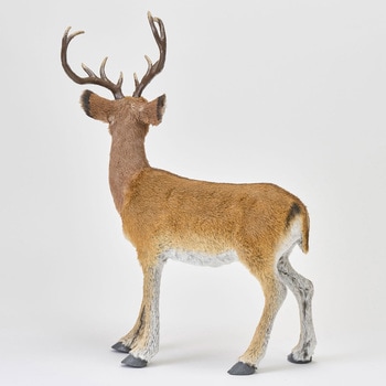 リアルレインディア - 東京堂