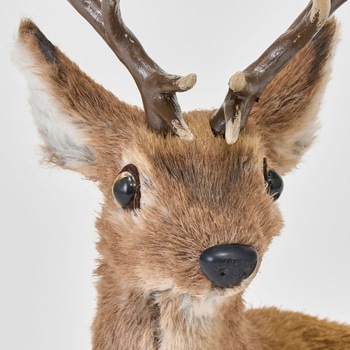 おすわりレインディア 東京堂