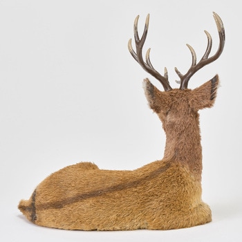 おすわりレインディア 東京堂