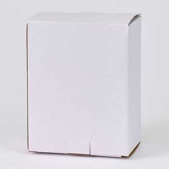 虹色(にじいろ) 東京堂