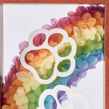 虹色(にじいろ) 東京堂