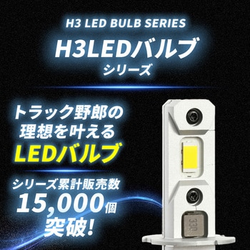 H3 フォグランプ用 2色切り替え内蔵 LEDバルブ 12v/24v兼用 竹村商会