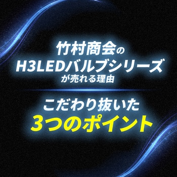H3 フォグランプ用 2色切り替え内蔵 LEDバルブ 12v/24v兼用 竹村商会