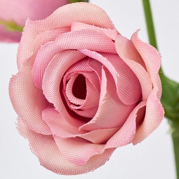 パールローズ MAGIQ(東京堂)