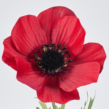 ブリーズアネモネスプレー - MAGIQ(東京堂)