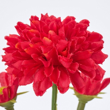 ブルーミーマム MAGIQ(東京堂)