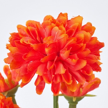 ブルーミーマム MAGIQ(東京堂)