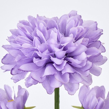 ブルーミーマム MAGIQ(東京堂)