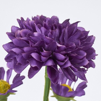 ブルーミーマム MAGIQ(東京堂)