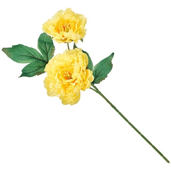 FM000426-004 tBIisIj[ MAGIQ() 60311521