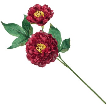 フィオナピオニー MAGIQ(東京堂)