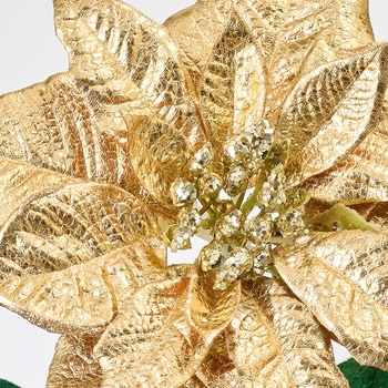 フォイルポインセチア MAGIQ(東京堂)