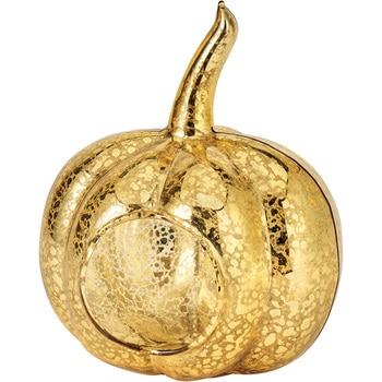 ゴールドパンプキン10 東京堂