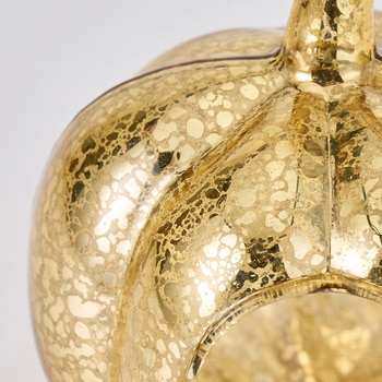 ゴールドパンプキン10 - 東京堂