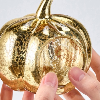 ゴールドパンプキン10 - 東京堂