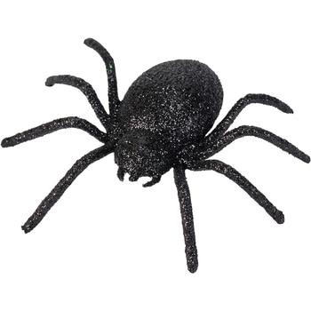 グリッタースパイダー 東京堂