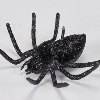 グリッタースパイダー 東京堂