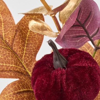 バーガンパンプキンスプレー - 東京堂