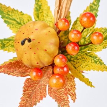 ニュアンスパンプキンピック 東京堂