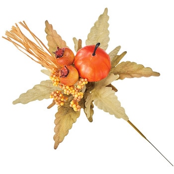 オータムパンプキンピック 東京堂