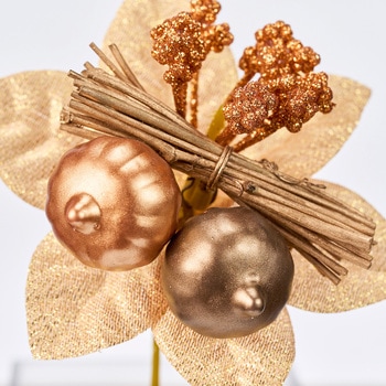 クラシカルパンプキンピック 東京堂