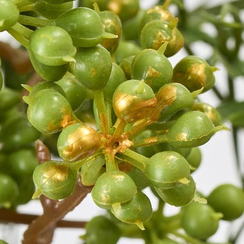 ノエルベリーバンドル MAGIQ(東京堂)