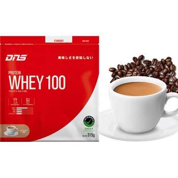 DNS プロテインホエイ100 PW100315 第一三共ヘルスケア