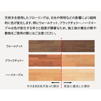 コンビットグラードプラスランダム ウッドワン