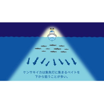 アッパー95 ヤマリア(YAMASHITA)