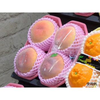 PS BPフルーツ2L PackStyle(パックスタイル)