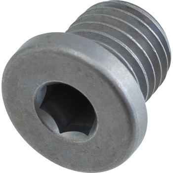 Screw plug 07119904550 - BMW