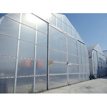 【オーダー】伸野果SUN-X 住化積水フィルム