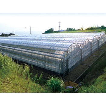 【オーダー】花野果 蒼天UVロング 住化積水フィルム