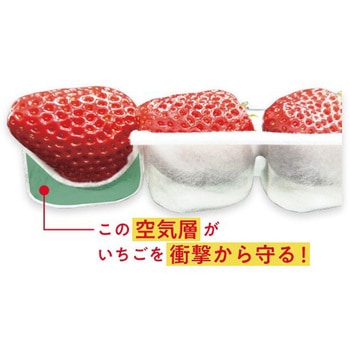 いちごハンモックトレー コバヤシ