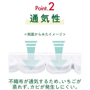 いちごハンモックトレー コバヤシ