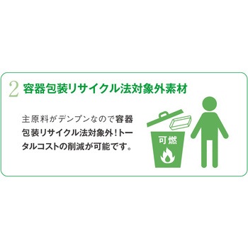 レジーム フルーツパック 2P コバヤシ