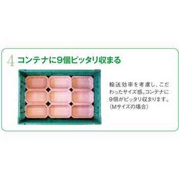 レジーム フルーツパック 2P コバヤシ