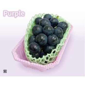 レジーム フルーツパック 2P コバヤシ