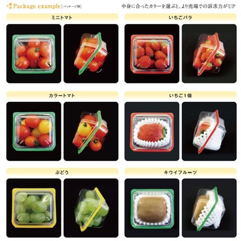 カラープチ150 コバヤシ