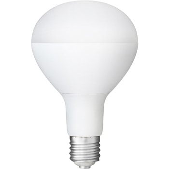 LED投光器 交換電球 【20000時間】 アイリスオーヤマ