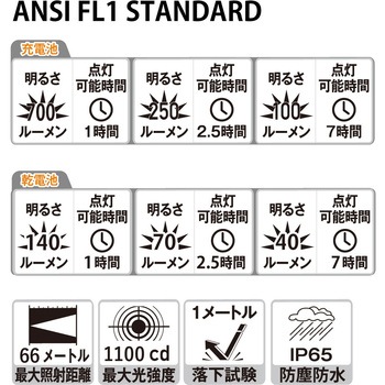首振りポケットLEDライト 充電池乾電池兼用 Nicron(ニクロン)
